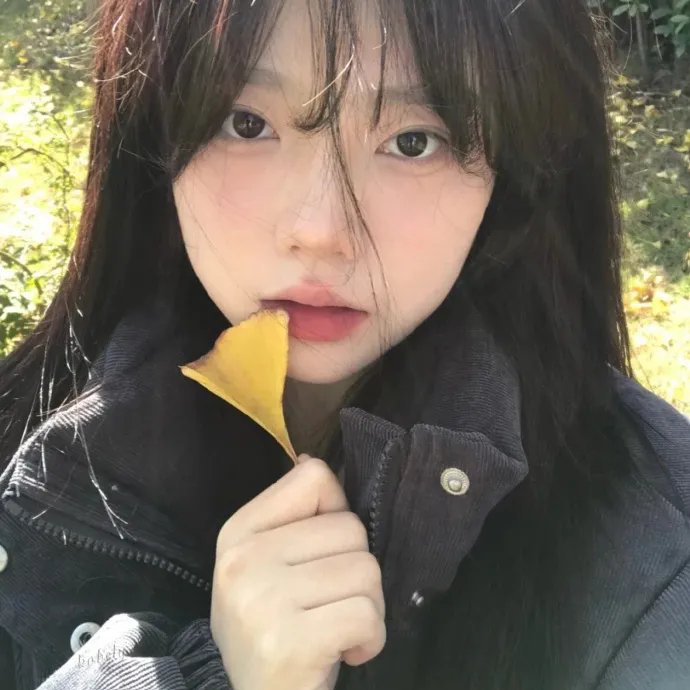 花系列:二